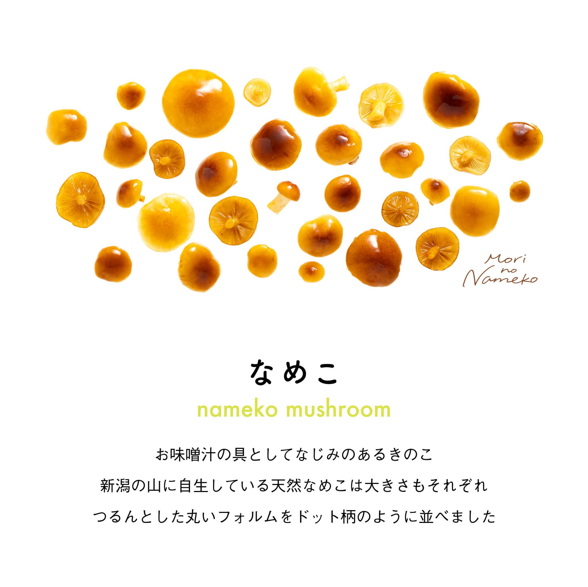 ［着る山菜］森のなめこランチトート | 5枚目